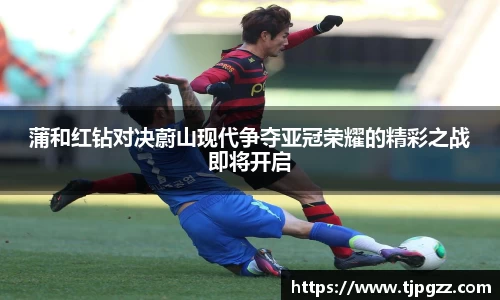 蒲和红钻对决蔚山现代争夺亚冠荣耀的精彩之战即将开启